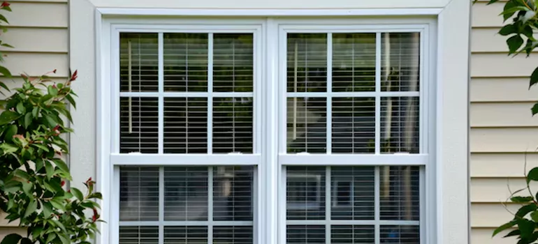 Custom Double Hung Windows in Sarasota, FL