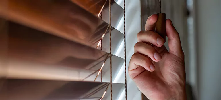 Double Roller Blinds in Sarasota, FL