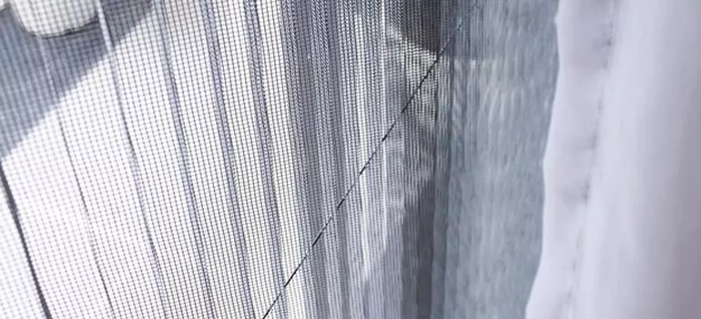 Fixing Screen Window Mesh in Sarasota, FL