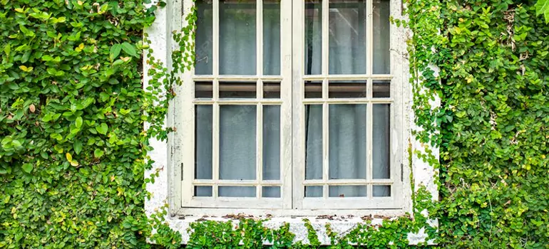 Garden Window Repair Near Me in Sarasota, FL