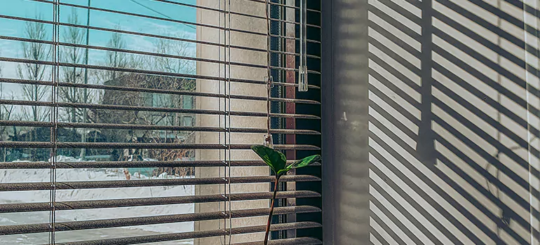 Commercial Window Blinds in Sarasota, FL