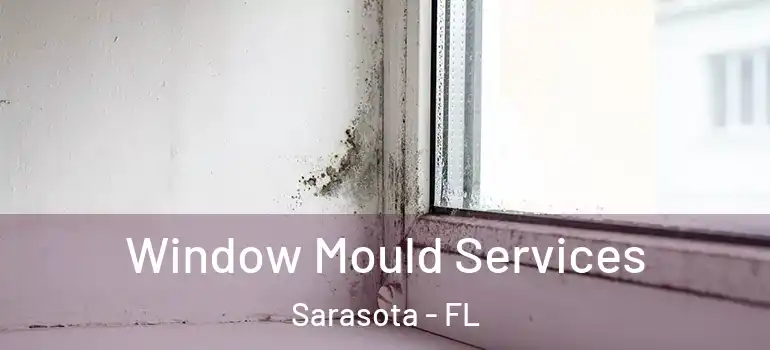 Window Mould Services Sarasota - FL